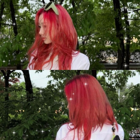 .° nexus (˶ˆᗜˆ˵)*